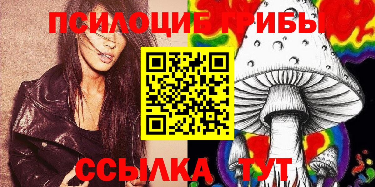Псилоцибиновые грибы Psilocybe Сорочинск